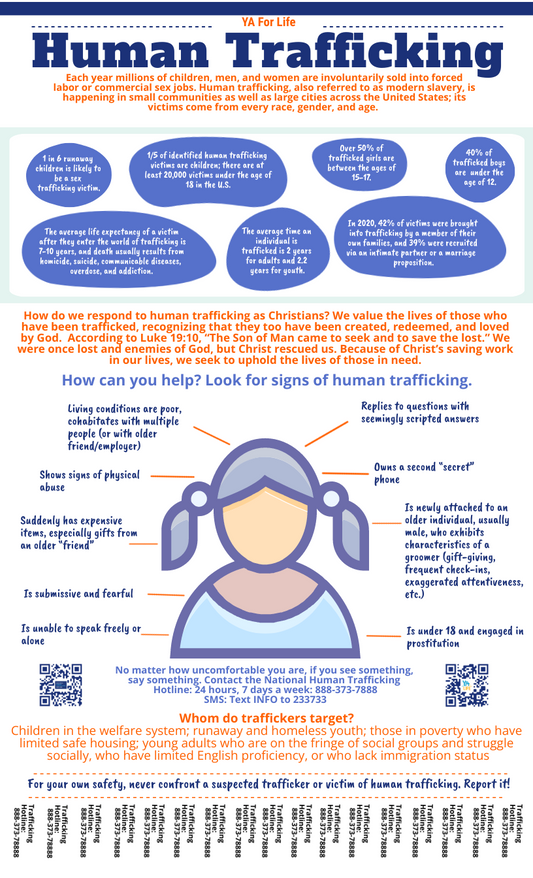 Human Trafficking Infographic Poster
