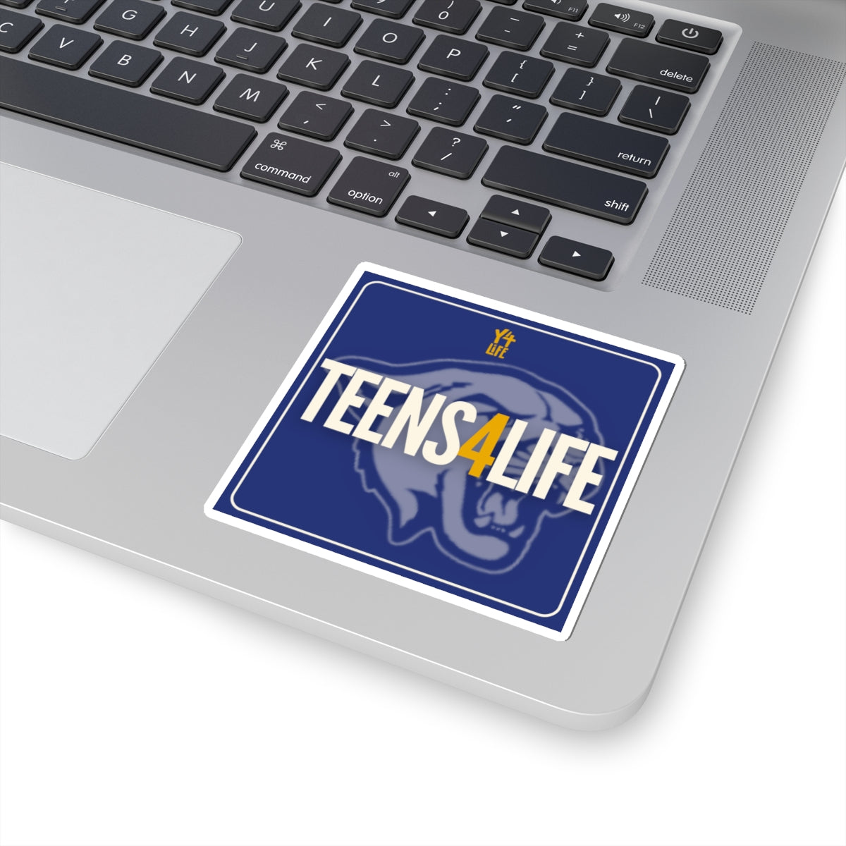 Teens4Life - Lutheran High School Team Sticker