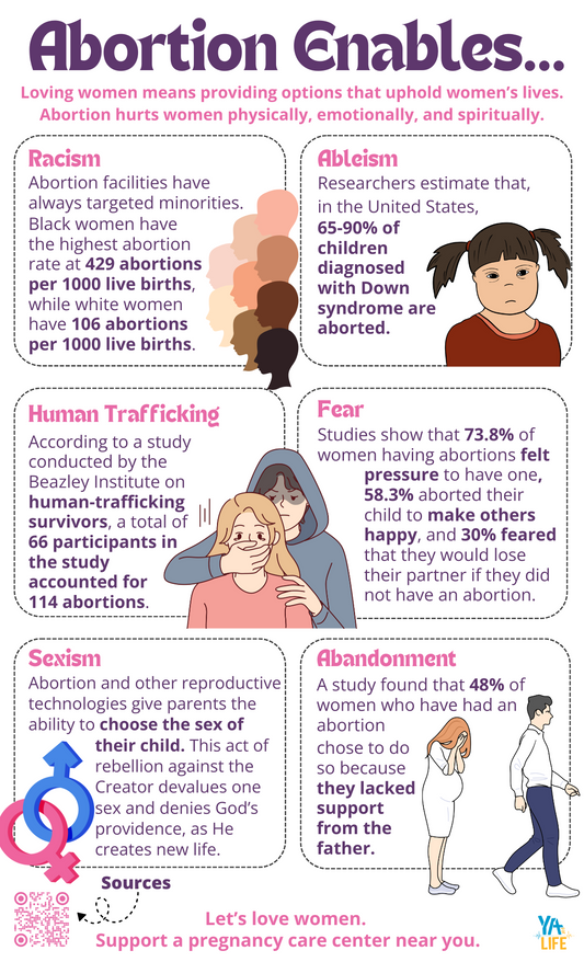 Abortion Enables Infographic Poster
