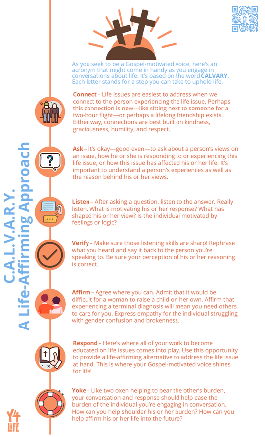 CALVARY Infographic Poster