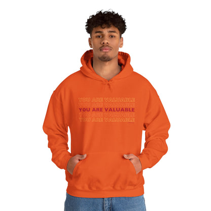 You Are Valuable Hooded Sweatshirt