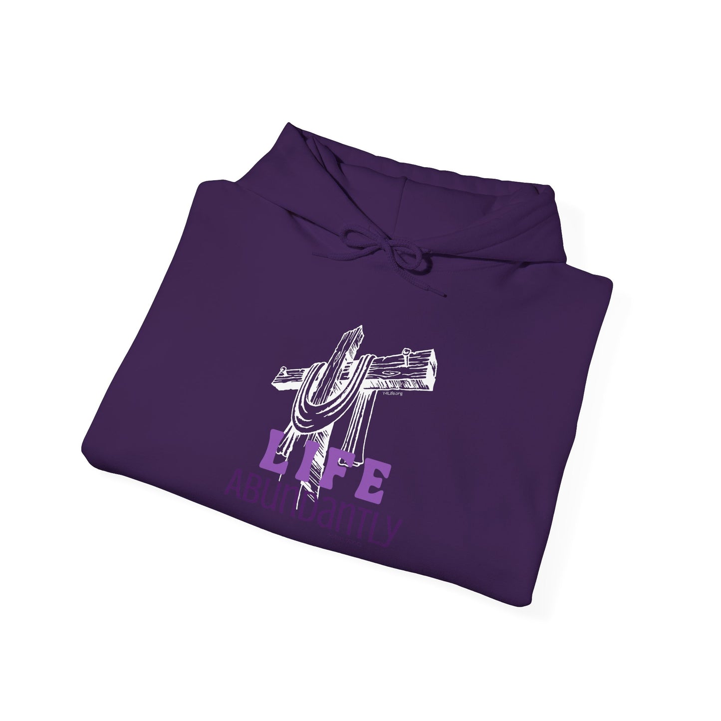 Life Abundantly Monochrome Hooded Sweatshirt