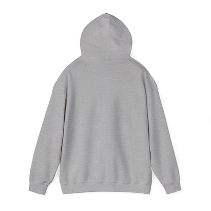 Life Abundantly Multicolor Hooded Sweatshirt
