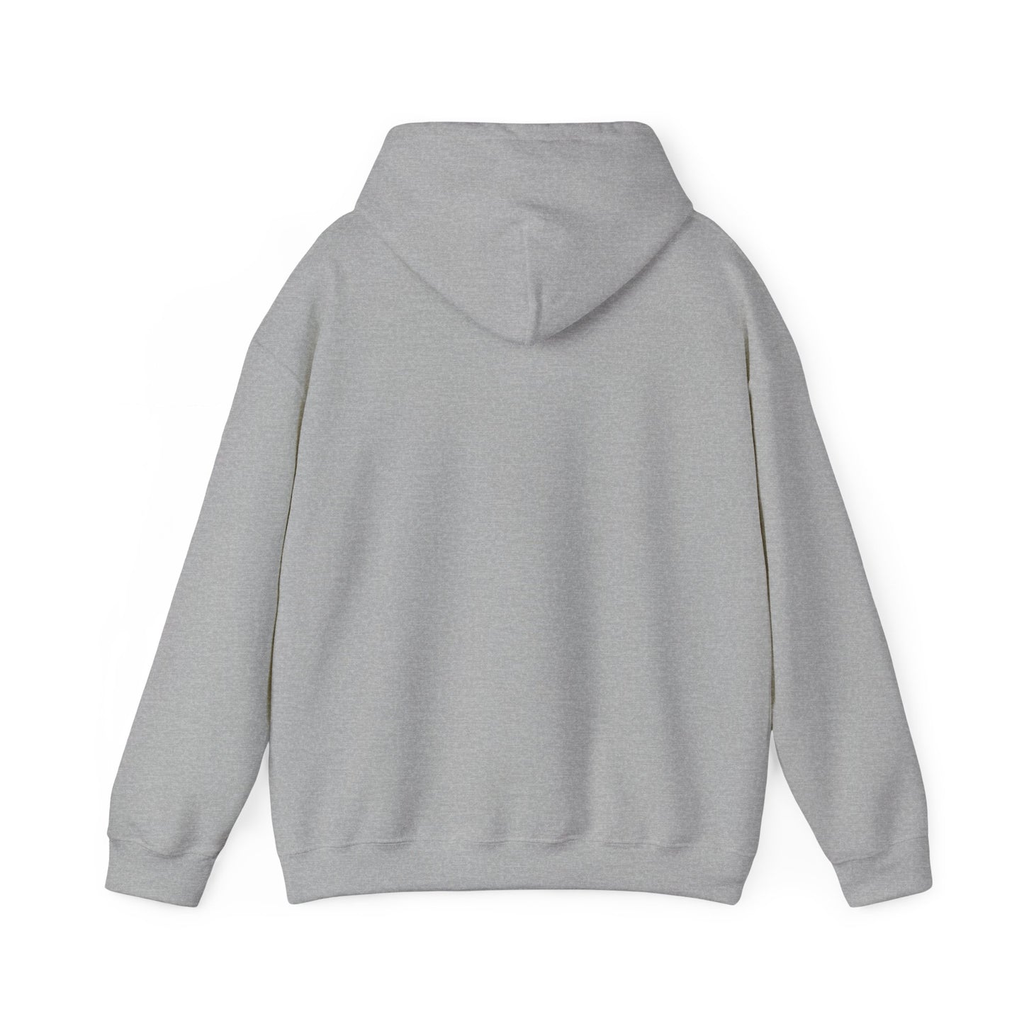 Life Abundantly Multicolor Hooded Sweatshirt