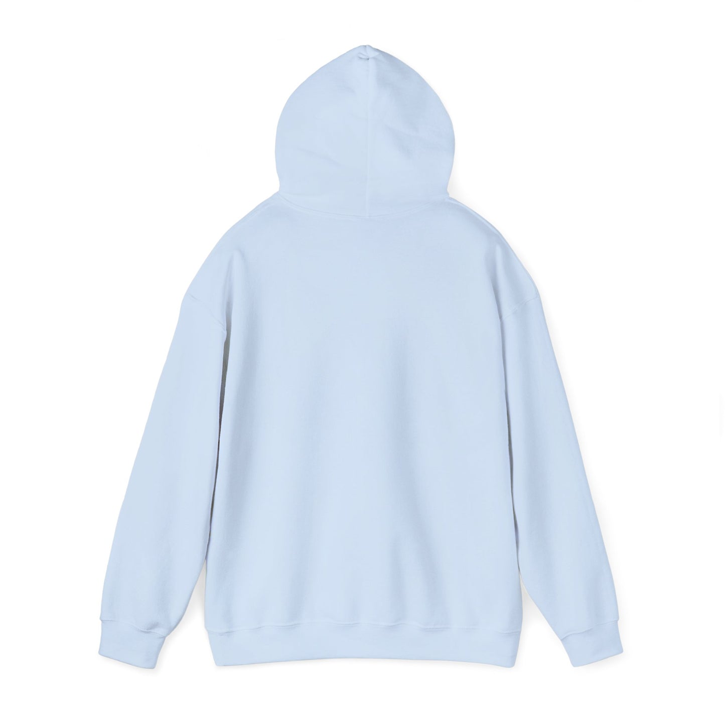 Life Abundantly Multicolor Hooded Sweatshirt