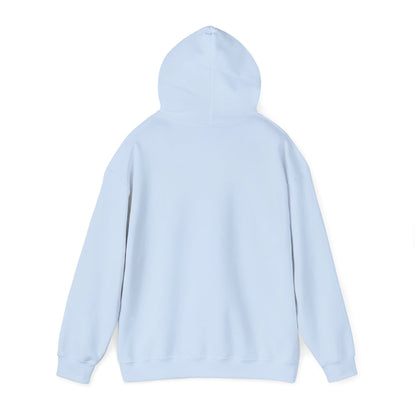 Life Abundantly Multicolor Hooded Sweatshirt