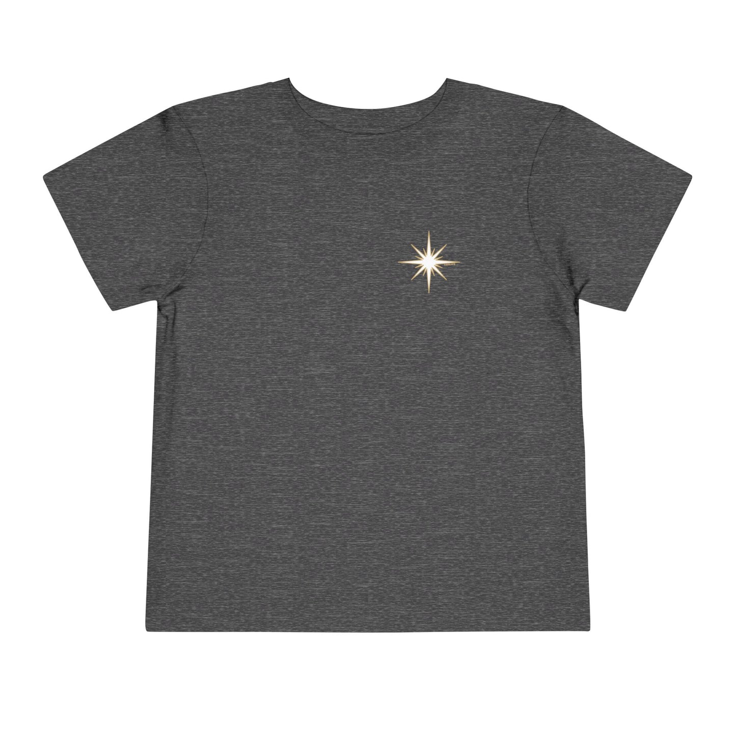 For We Saw His Star Toddler Short Sleeve Tee