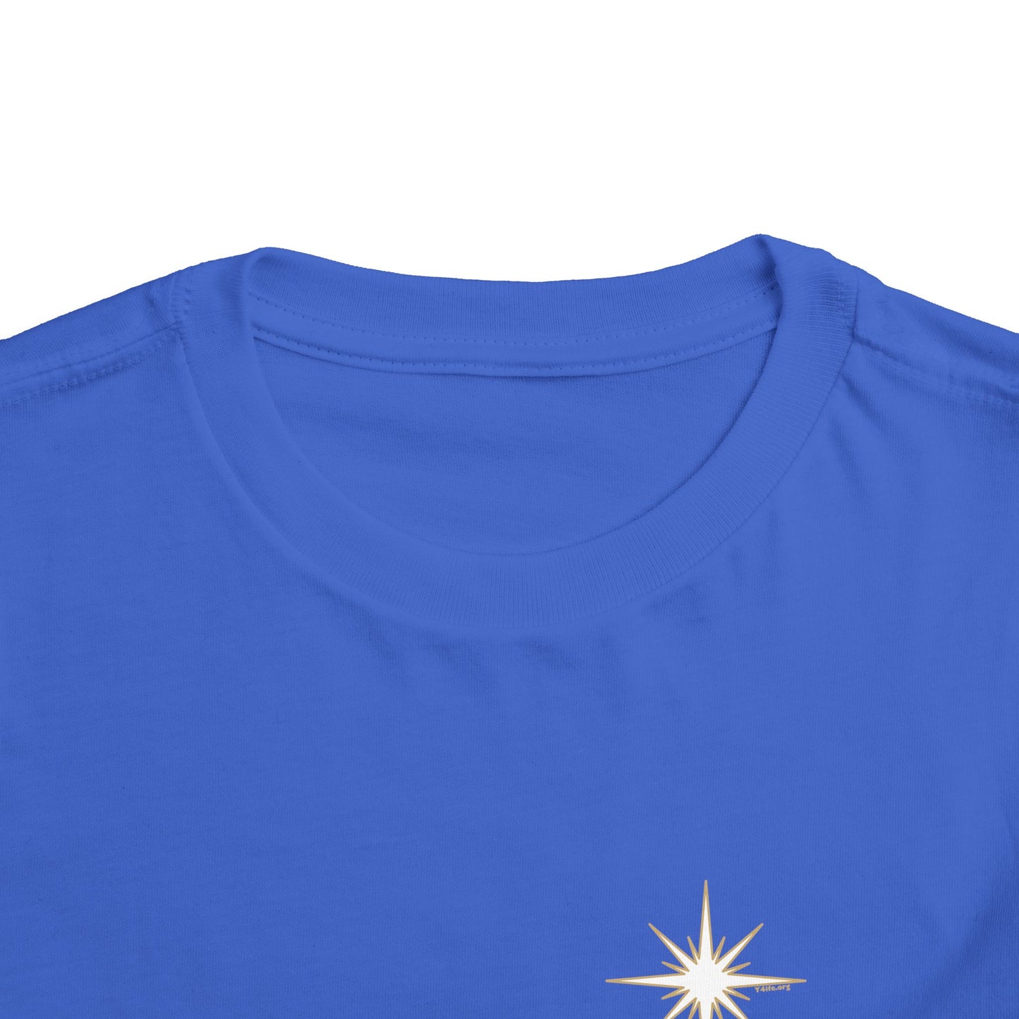 For We Saw His Star Toddler Short Sleeve Tee