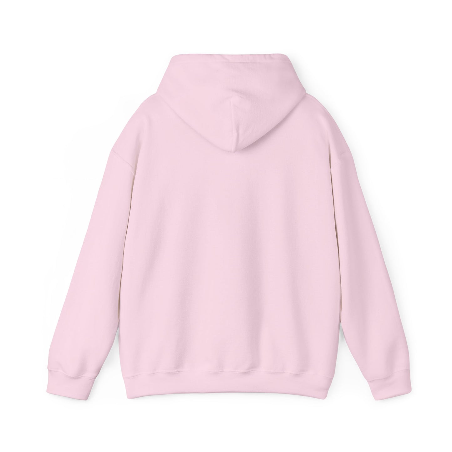 Life Abundantly Multicolor Hooded Sweatshirt