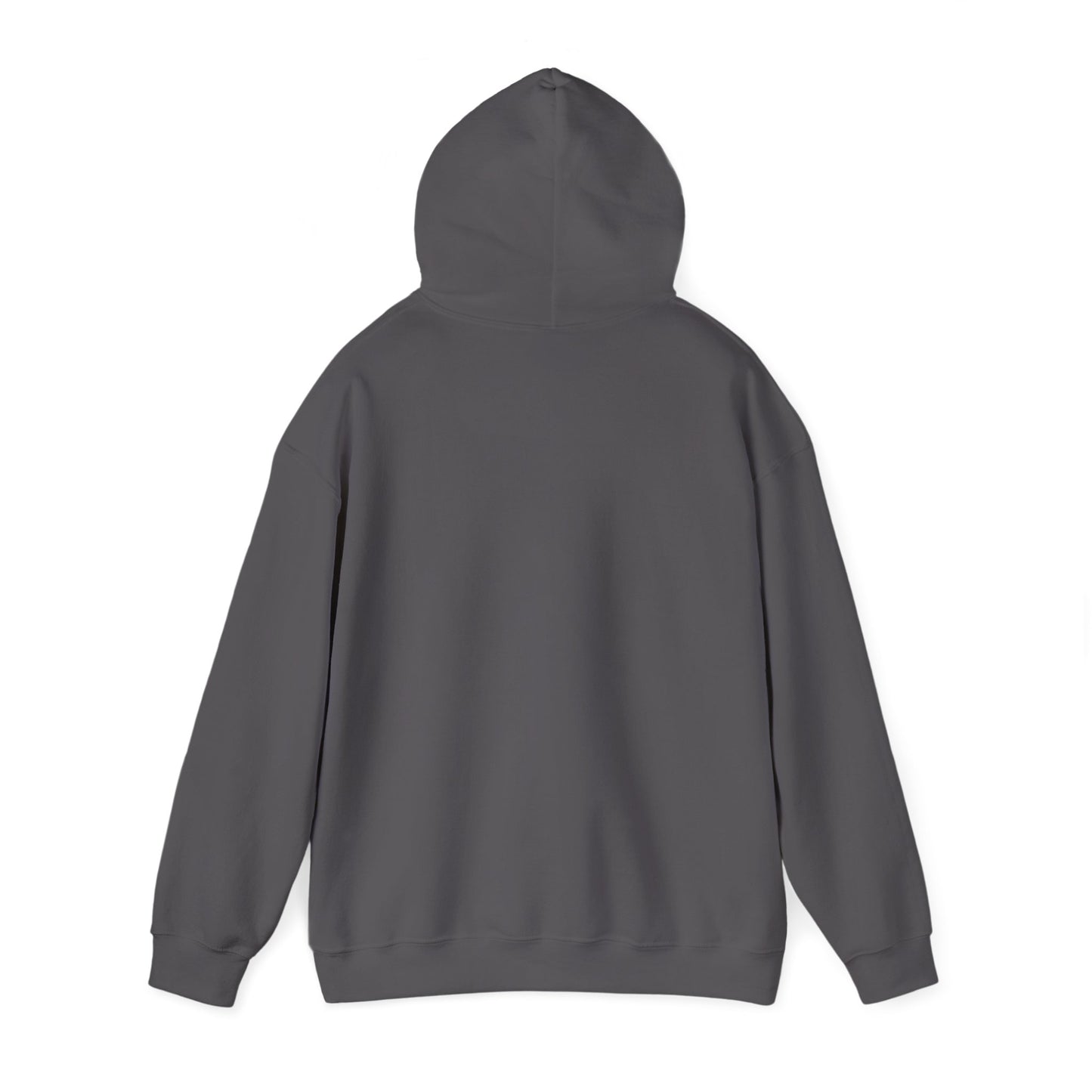 Life Abundantly Multicolor Hooded Sweatshirt