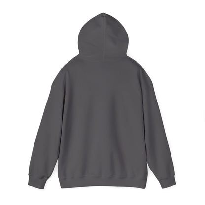 Life Abundantly Multicolor Hooded Sweatshirt