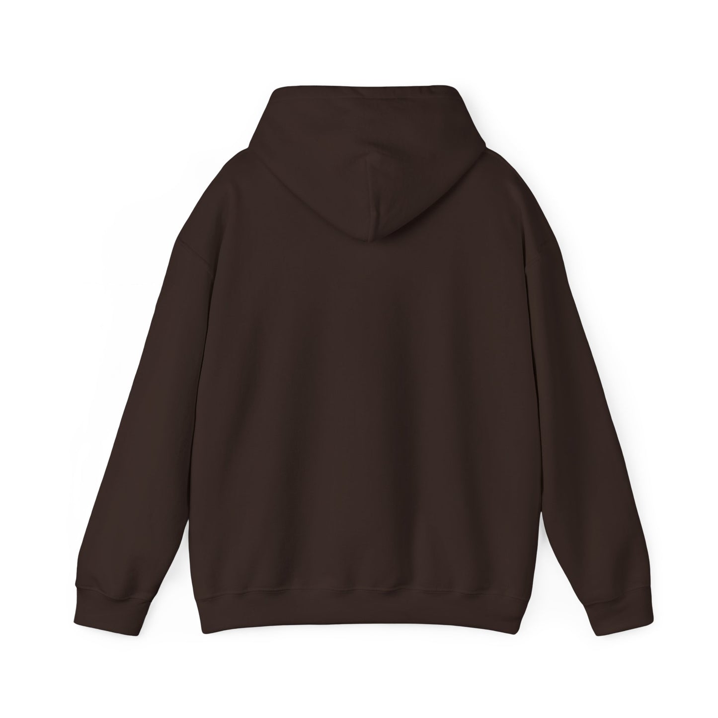 John 14:6 Multicolor Hooded Sweatshirt