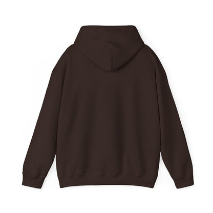 John 14:6 Multicolor Hooded Sweatshirt