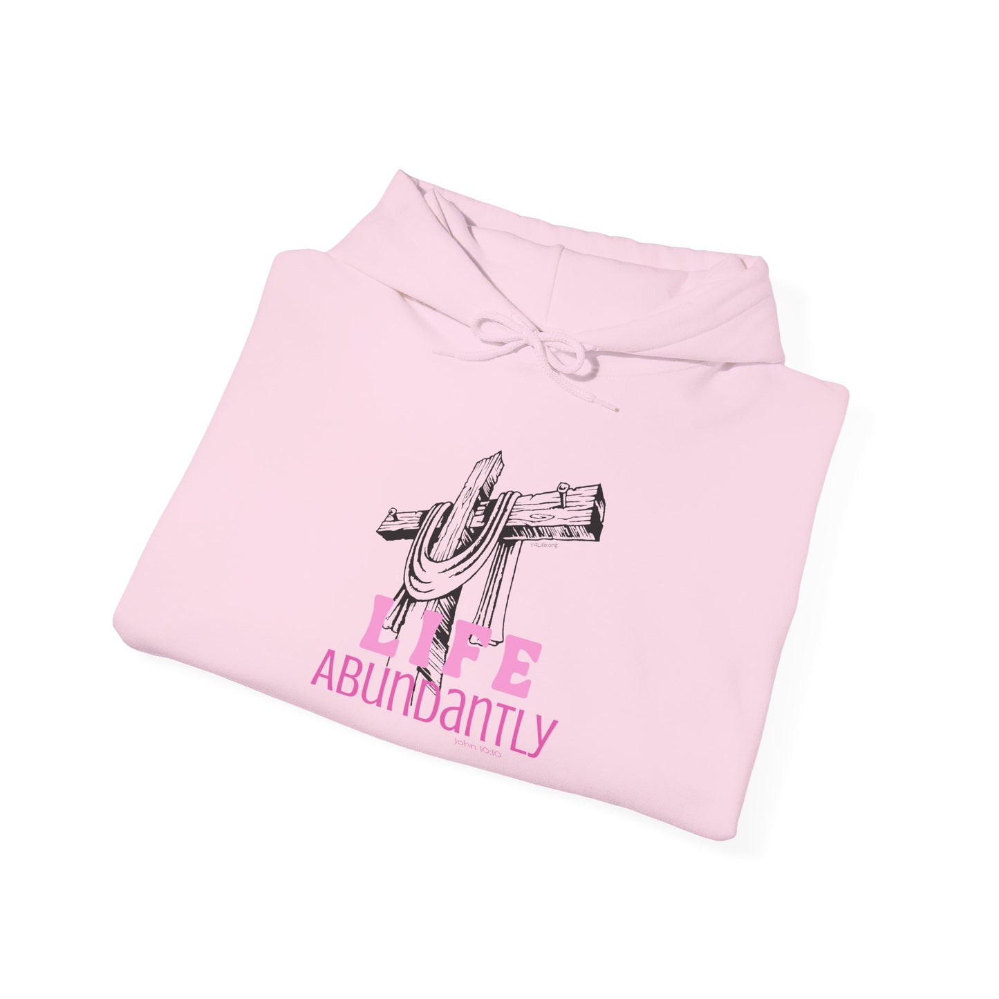 Life Abundantly Monochrome Hooded Sweatshirt