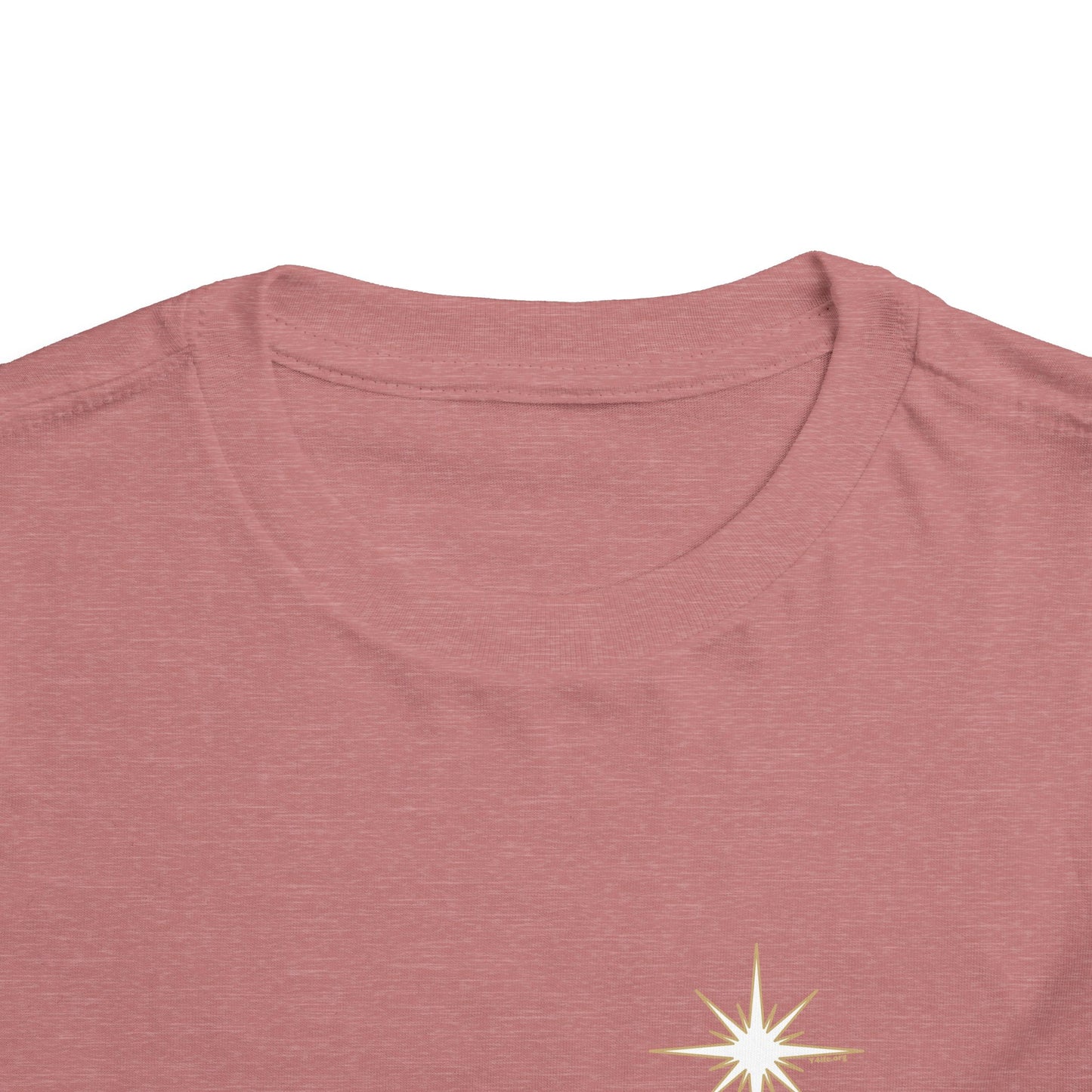 For We Saw His Star Toddler Short Sleeve Tee