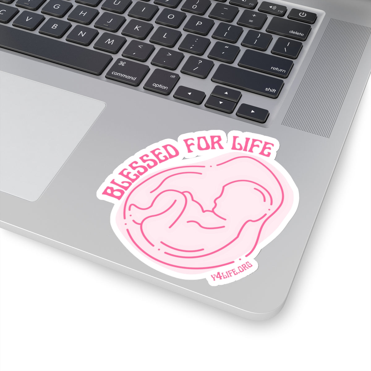 Blessed For Life Pink Kiss-Cut Sticker