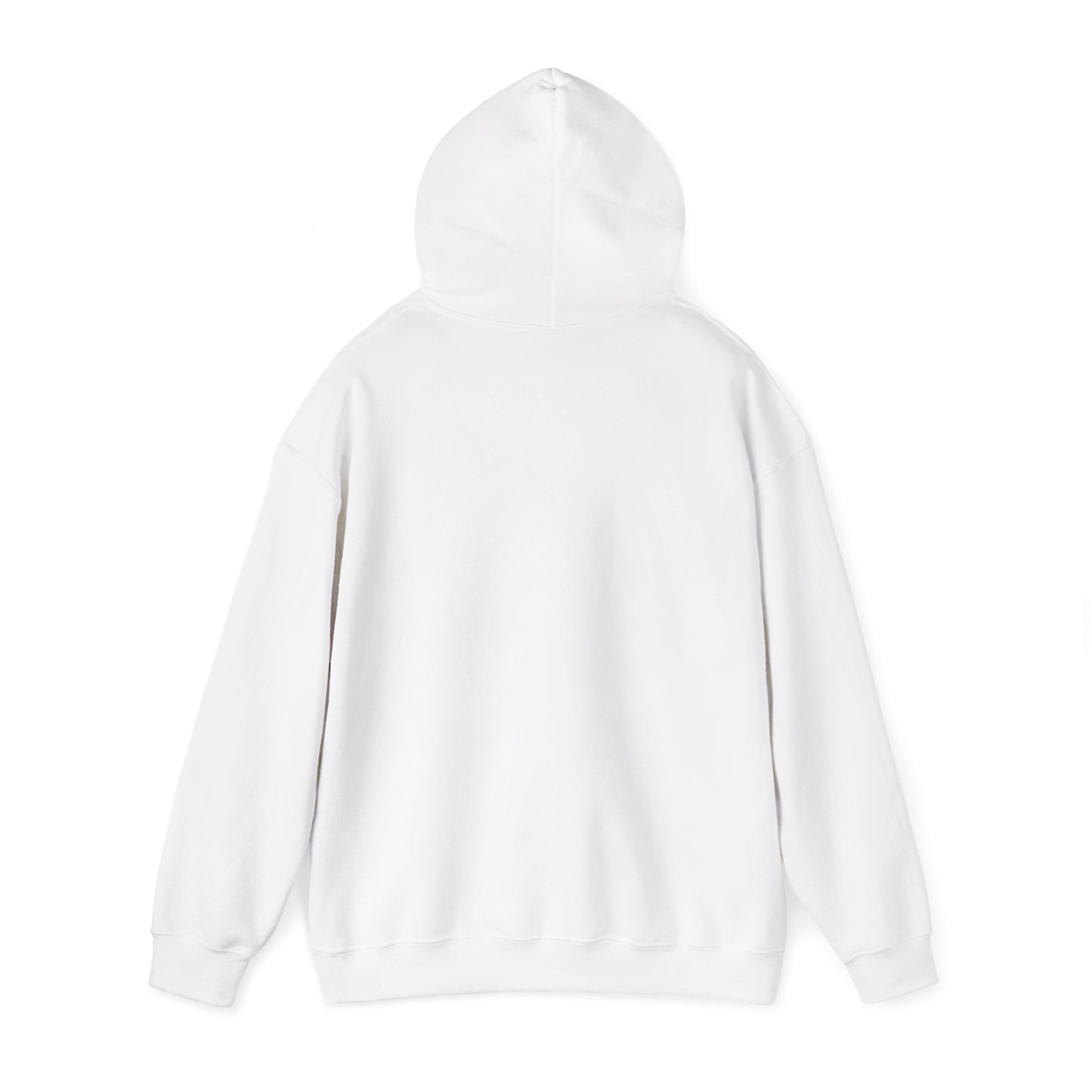 Life Abundantly Multicolor Hooded Sweatshirt