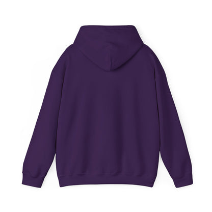 You Are Valuable Hooded Sweatshirt
