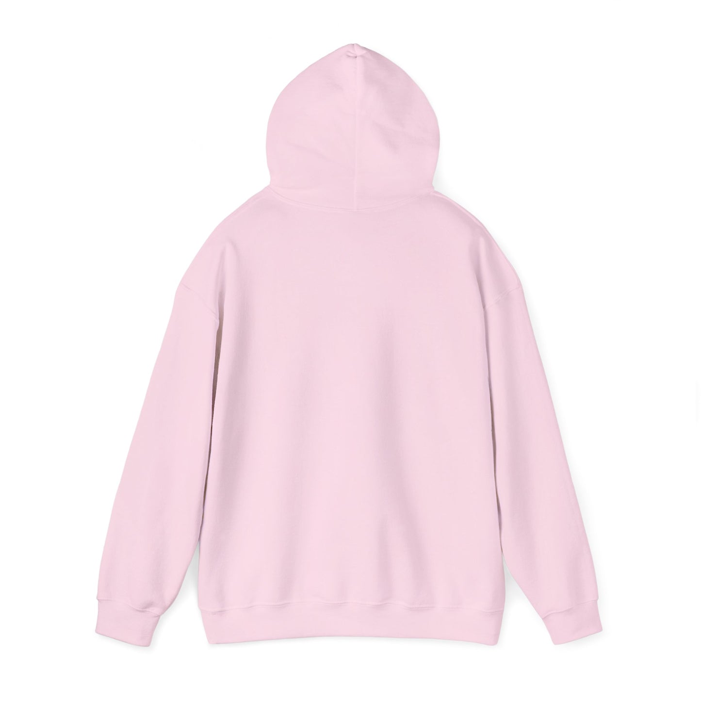 Life Abundantly Multicolor Hooded Sweatshirt