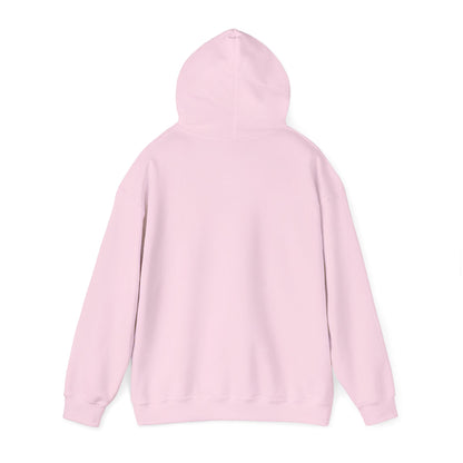 Life Abundantly Multicolor Hooded Sweatshirt