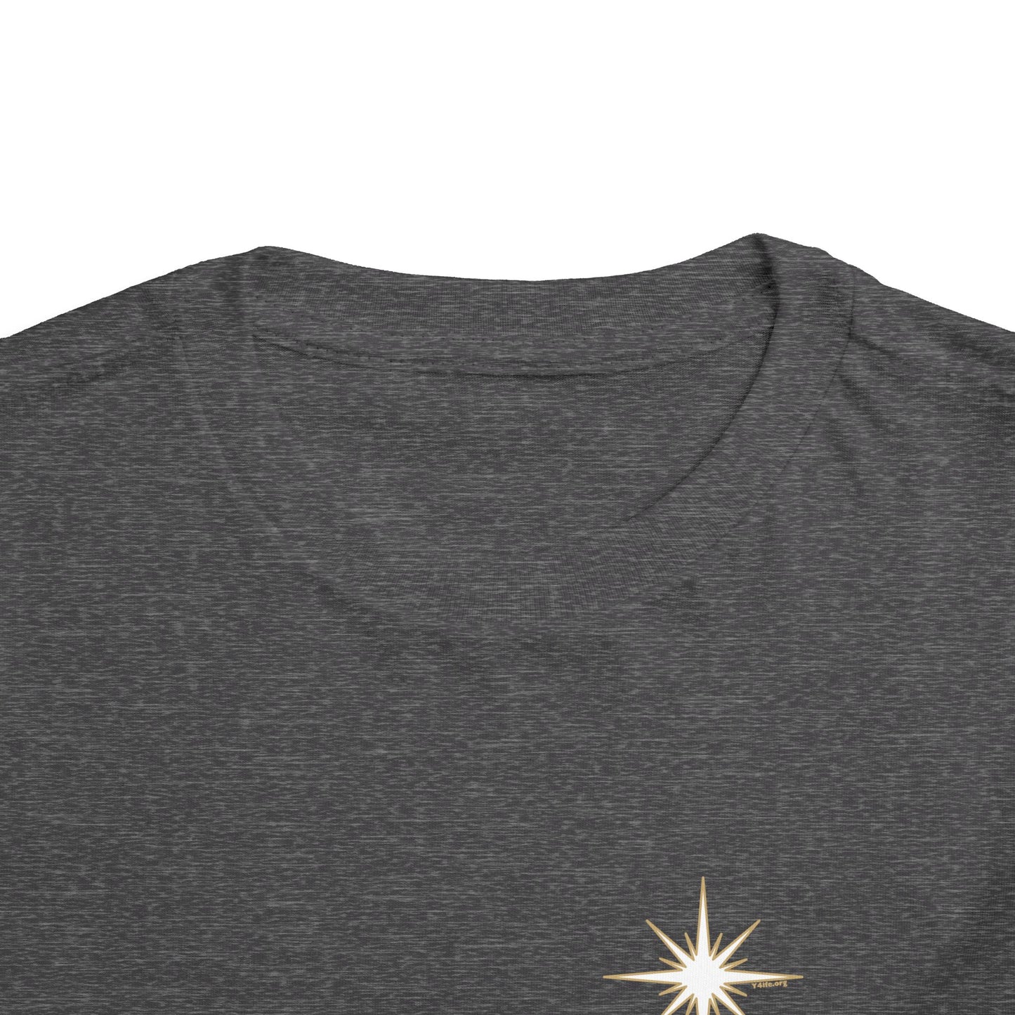 For We Saw His Star Toddler Short Sleeve Tee