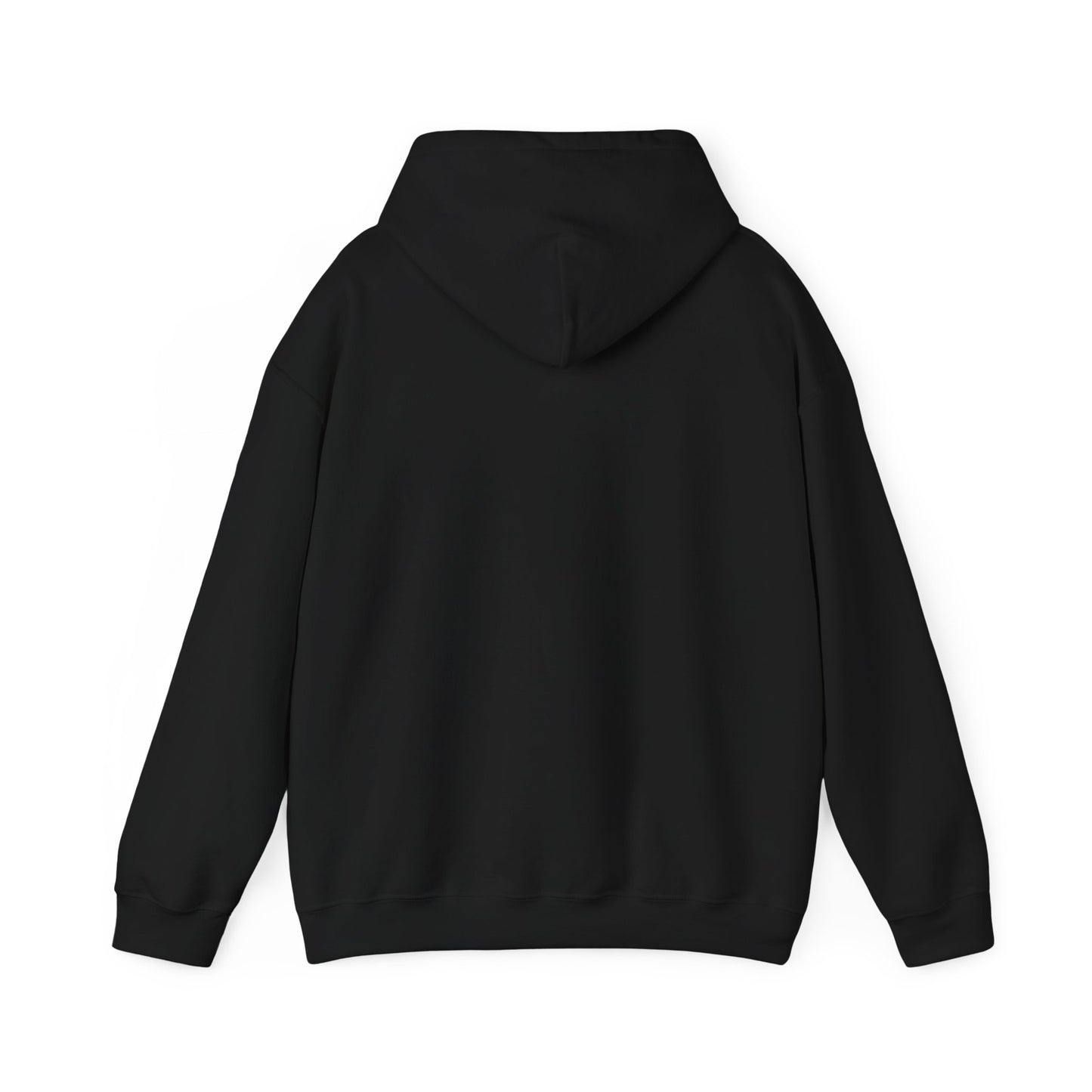 Life Abundantly Multicolor Hooded Sweatshirt