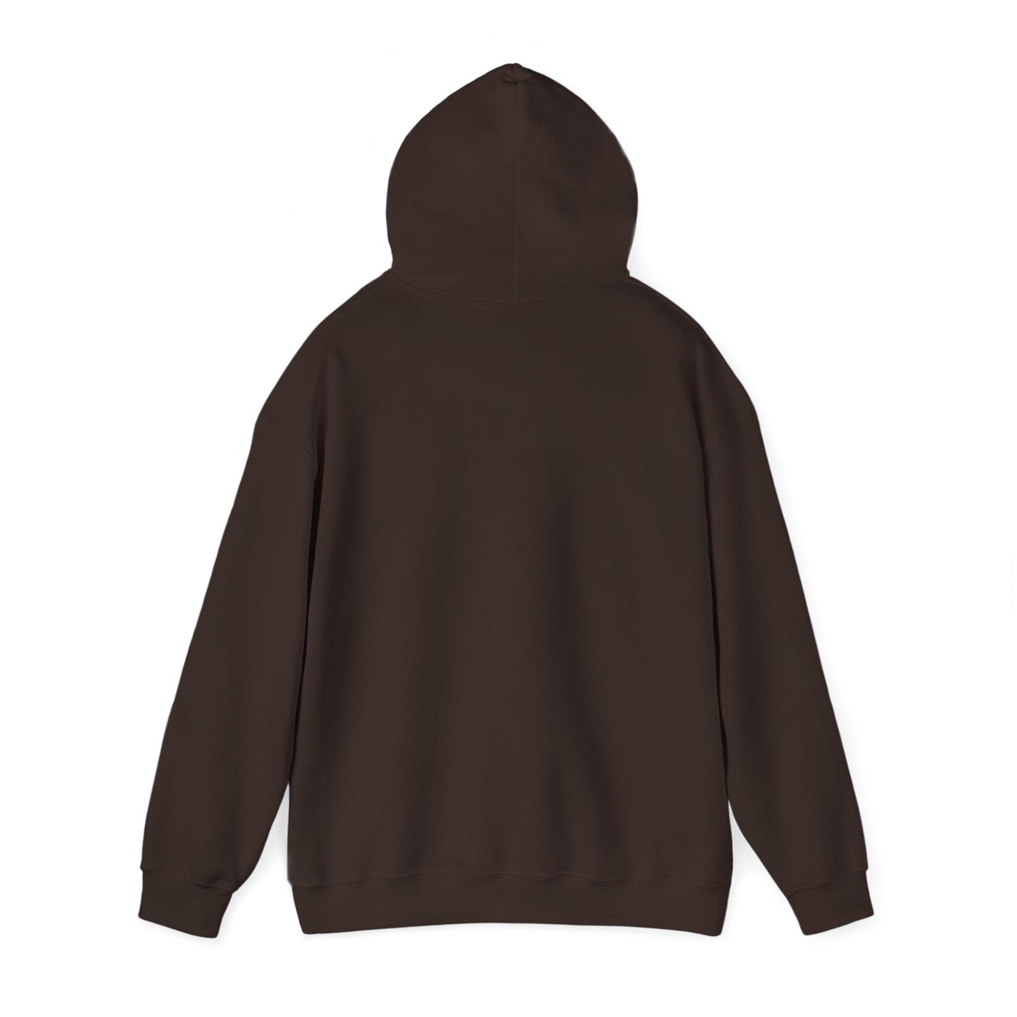 John 14:6 Multicolor Hooded Sweatshirt