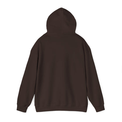 John 14:6 Multicolor Hooded Sweatshirt