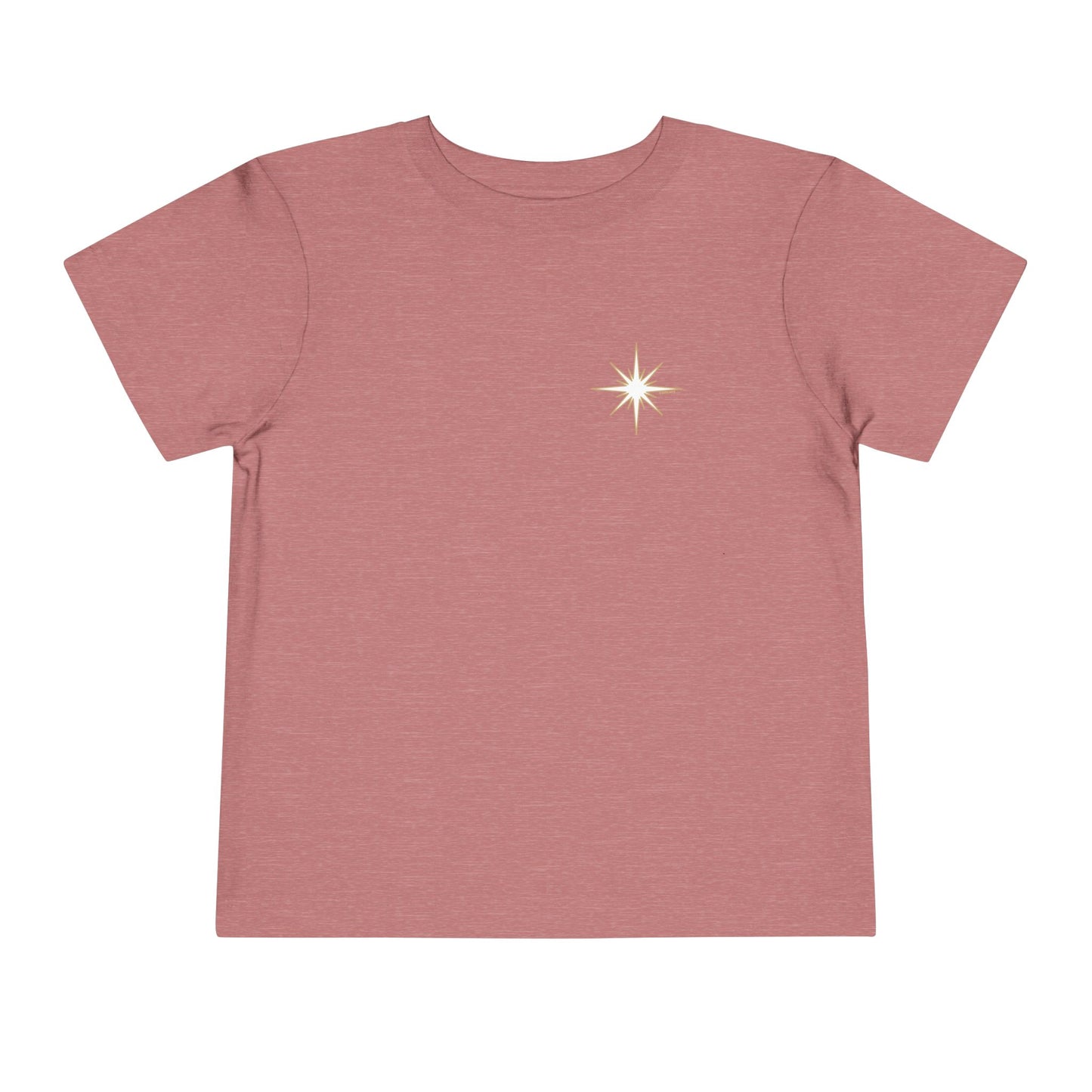 For We Saw His Star Toddler Short Sleeve Tee