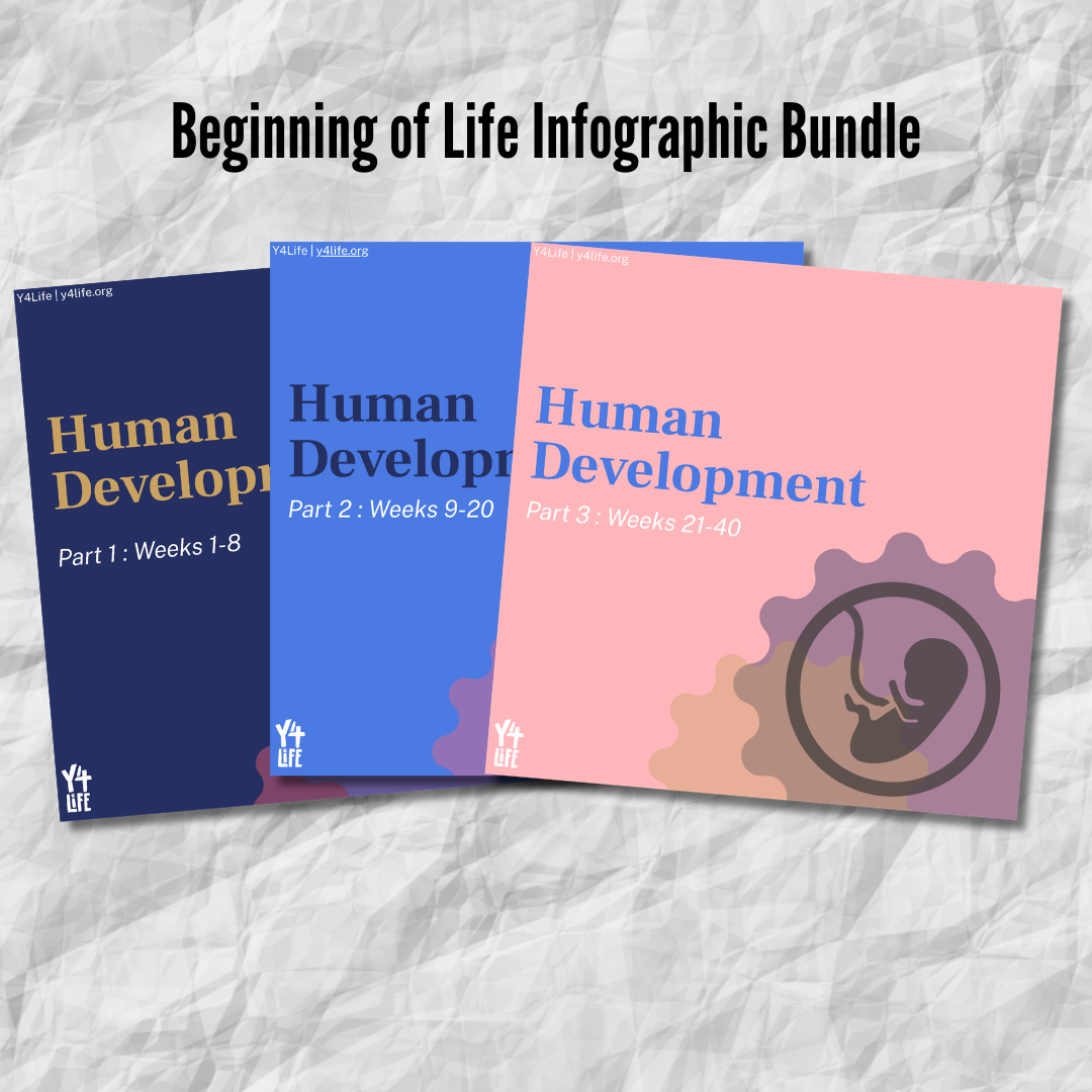 Beginning of Life Infographic Bundle